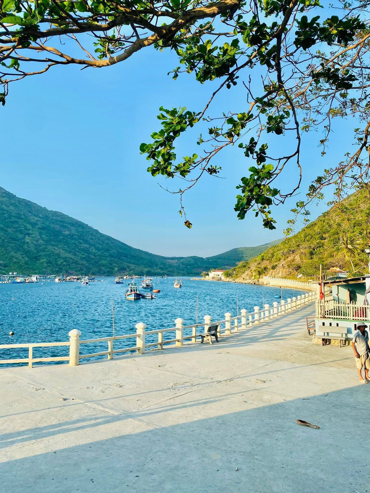 dao bich dam nha trang (3).jpg
