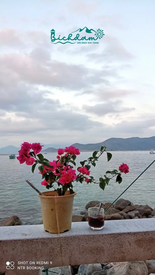 ĐẢO BÍCH ĐẦM NHA TRANG ĐẢO NGỌC NHA TRANG-1.webp
