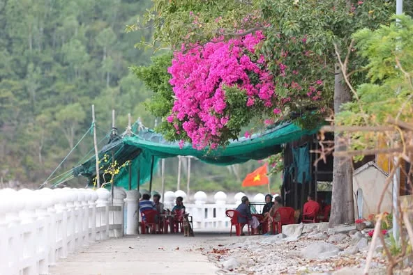 ĐẢO BÍCH ĐẦM NHA TRANG ĐẢO NGỌC NHA TRANG-4.webp