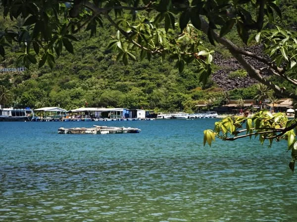 ĐẢO BÍCH ĐẦM NHA TRANG ĐẢO NGỌC NHA TRANG-4.webp