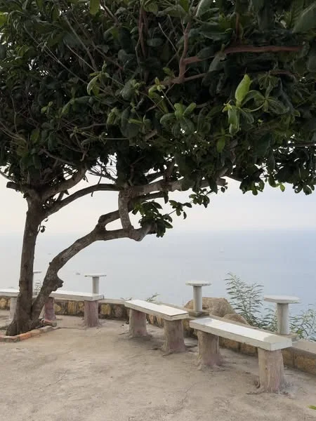 ĐẢO BÍCH ĐẦM NHA TRANG ĐẢO NGỌC NHA TRANG-5.webp