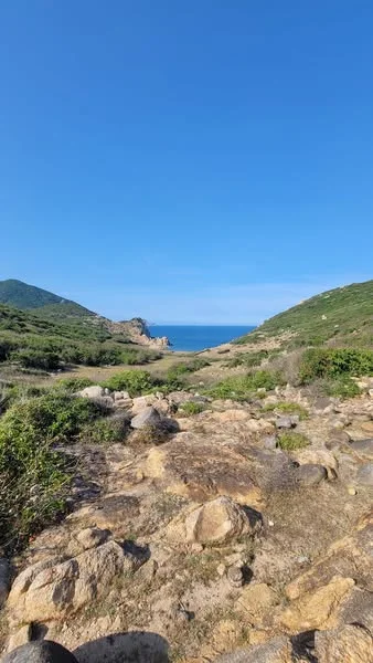 ĐẢO BÍCH ĐẦM NHA TRANG ĐẢO NGỌC NHA TRANG-6.webp