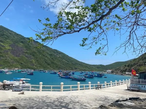 ĐẢO BÍCH ĐẦM NHA TRANG ĐẢO NGỌC NHA TRANG-8.webp