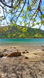 canh dep 2  -dao bich dam nha trang - nha trang booking (2).jpeg
