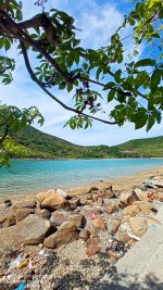 canh dep 2  -dao bich dam nha trang - nha trang booking (3).jpeg