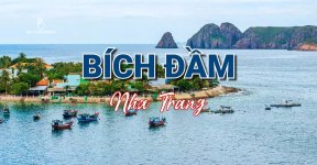 dao bich dam .jpg