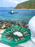 dao bich dam nha trang - bich dam - nha trang booking - bien dao nha trang (10).jpg