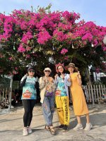 hoa giay -dao bich dam nha trang - nha trang booking (1).jpg