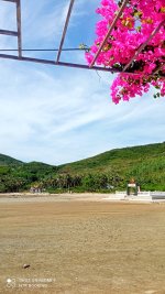 hoa giay -dao bich dam nha trang - nha trang booking (2).jpeg