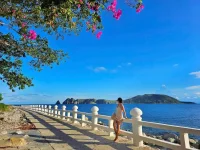 hoa giay - dao bich dam nha trang - daobichdam (12).webp