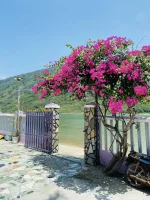 hoa giay - dao bich dam nha trang - daobichdam (13).webp