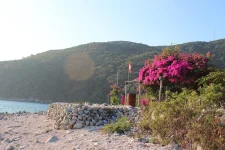 hoa giay - dao bich dam nha trang - daobichdam (20).webp