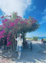 hoa giay - dao bich dam nha trang - daobichdam (24).webp