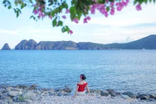 hoa giay - dao bich dam nha trang - daobichdam (28).webp