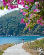 hoa giay - dao bich dam nha trang - daobichdam (31).webp