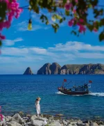 hoa giay - dao bich dam nha trang - daobichdam (32).webp