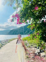 hoa giay - dao bich dam nha trang - daobichdam (33).webp