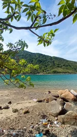 canh dep bich dam - dao bich dam nha trang - nha trang booking (4).webp