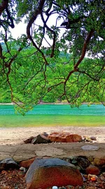 canh dep bich dam - dao bich dam nha trang - nha trang booking (4).webp