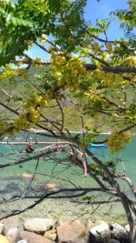 canh dep bich dam - dao bich dam nha trang - nha trang booking (7).webp