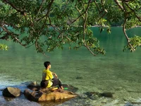 canh dep bich dam - dao bich dam nha trang - nha trang booking (8).webp