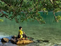 ĐẢO BÍCH ĐẦM NHA TRANG ĐẢO NGỌC NHA TRANG-7.webp