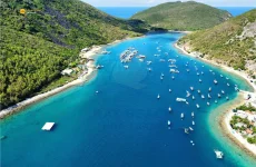 Ray Beach Nha Trang - Dao Bich Dam Nha Trang - Nha Trang Booking (6).webp
