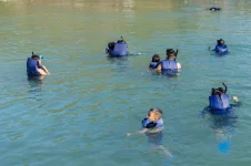 Ray Beach Nha Trang - Dao Bich Dam Nha Trang - Nha Trang Booking (22).webp