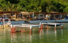 Ray Beach Nha Trang - Dao Bich Dam Nha Trang - Nha Trang Booking (40).webp