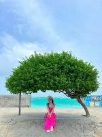 ĐẢO BÍCH ĐẦM NHA TRANG ĐẢO NGỌC NHA TRANG-4.webp
