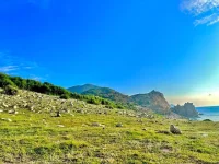 bai de - dao bich dam nha trang - dao bich dam - nha trang booking (6).webp
