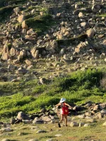 bai de - dao bich dam nha trang - dao bich dam - nha trang booking (8).webp