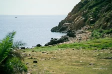 bai de - dao bich dam nha trang - dao bich dam - nha trang booking (9).webp