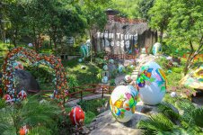 tam bun tram trung nha trang- kdl tram trung (2).jpg