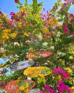 ray beach nha trang - dao bich dam nha trang (6).jpg