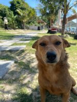 ray beach nha trang - dao bich dam nha trang (11).jpg