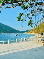 dao bich dam nha trang (3).jpg